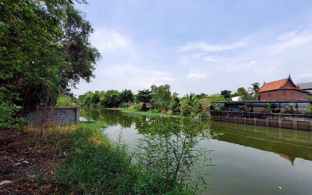 ขายด่วนที่ดินวิวคลอง 95 ตรว ติดถนนสาธารณะ คลองสี่ ซ.สุสวาส ธัญบุรี ปทุมธานี 4