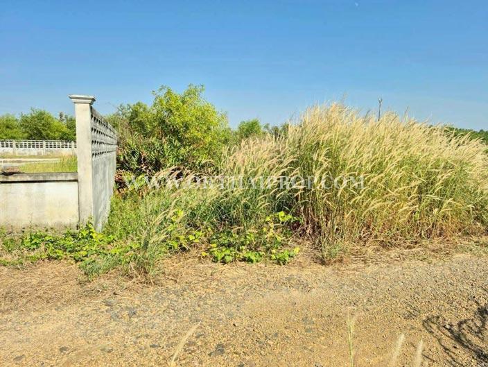 ที่ดิน ใกล้อบต.วังจุฬา วังน้อย พระนครศรีอยุธยา 3