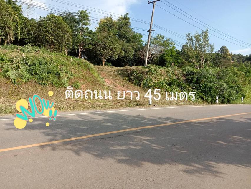 ที่ดินเนิน วิวเขา ติดลำห้วย ใกล้ อ เมืองน่าน ติดถนน1169  4