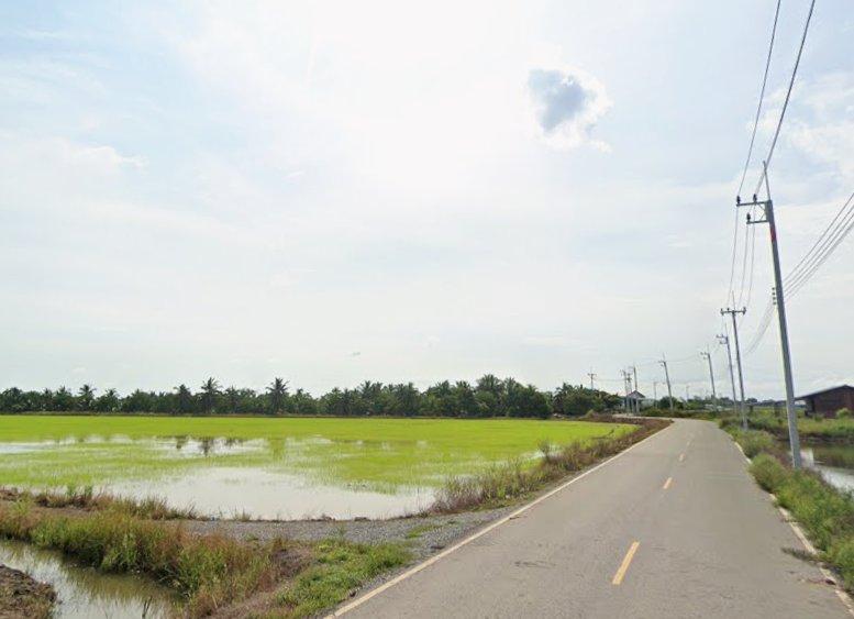 ขายที่ดินบางแก้วซอย3 เนื้อที่ 8 ไร่ ติดถนนลาดยาง ใกล้สวนปาล์มฟาร์มนกและถนน3200-5กม. เมืองฉะเชิงเทรา
