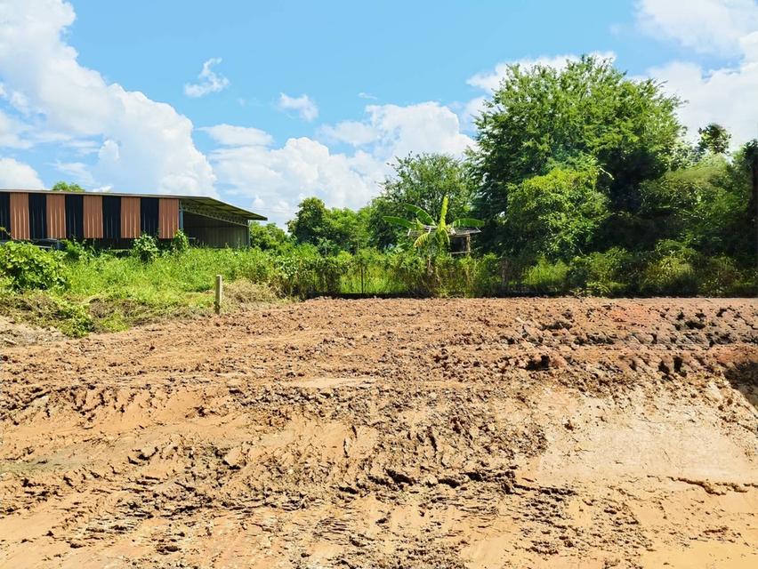 ที่ดินถมแล้ว 59.3ตารางวา ต.อรัญญิก อ.เมืองพิษณุโลก 4