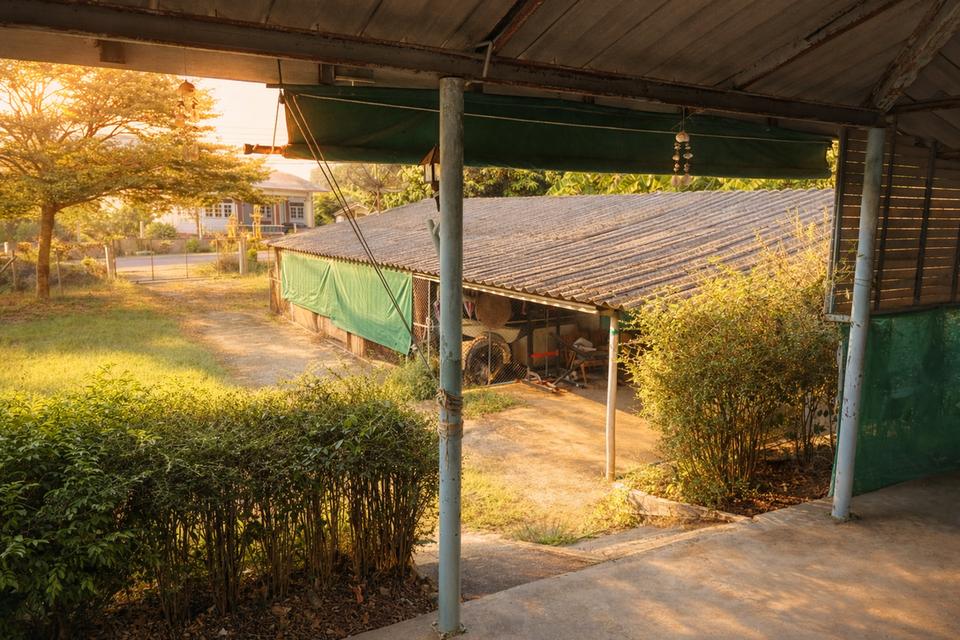 ขายบ้านสวนพร้อมที่ดิน 5