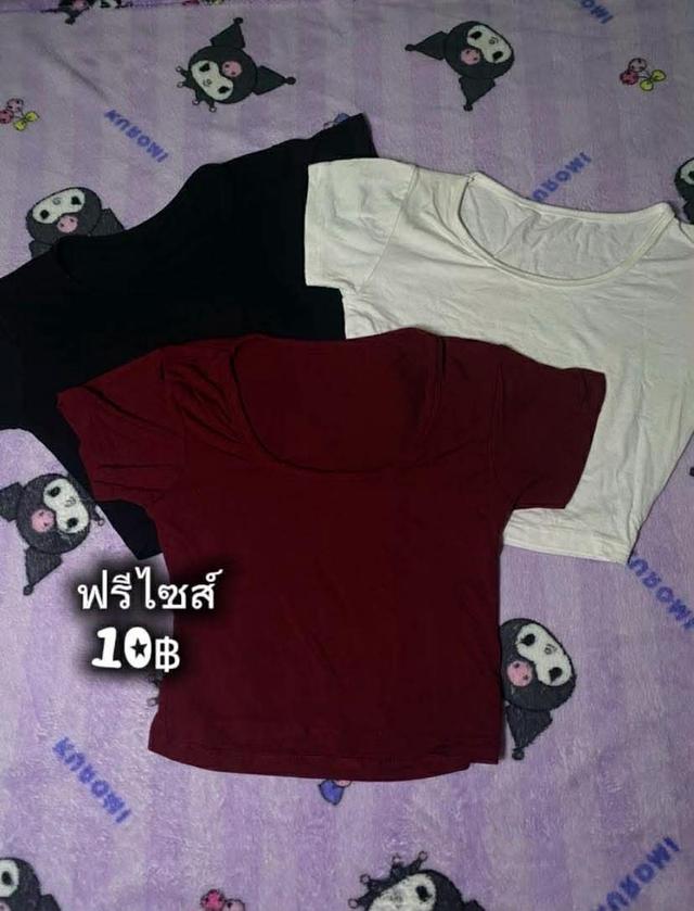 ปล่อยเสื้อผ้ามือสอง2 รูปที่ 7
