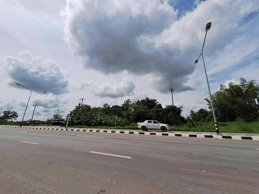 ติดถนนใหญ่ (พระทองคำ-ชัยภูมิ) โคราช ติดถนนหลวง 4 เลน (205)