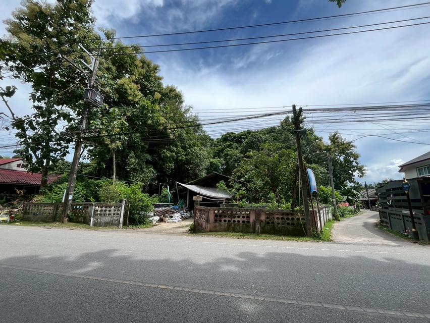 ขายที่ดิน 196 ตารางวา สันทราย เชียงใหม่ 5