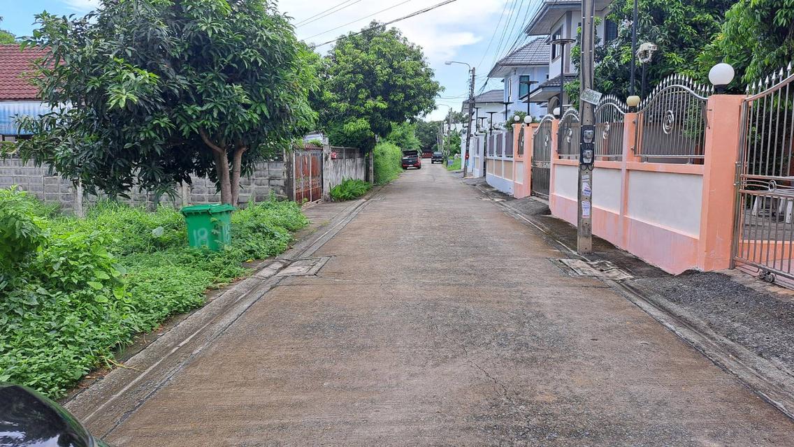 🔥 ขายด่วน! ที่ดินสวย 61 ตร.ว. ซอยคู้บอน 31 (แยก 3) แปลงสี่เหลี่ยม ใกล้รถไฟฟ้า เหมาะปลูกบ้านหรือเก็งกำไร