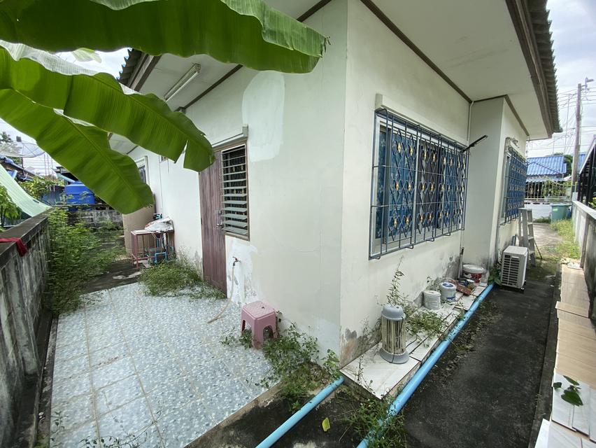 บ้านเดี่ยวชั้นเดียว 60ตรว ในตัวเมืองชลบุรี 14