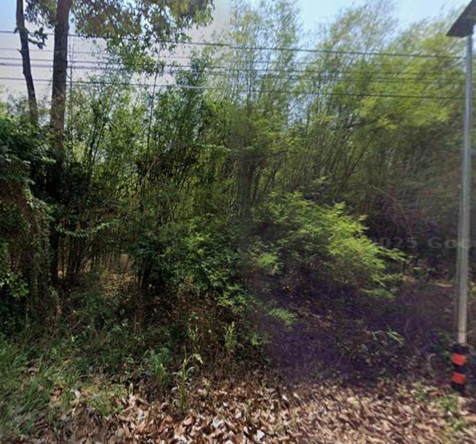 ขายที่ดินแปลงสวย ติดถนนโยธาธิการ กบินทร์บุรี ปราจีนบุรี 2