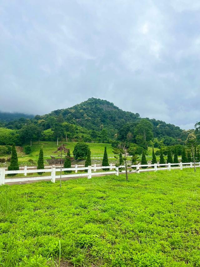 📣🏡 ที่ดินวิวดอย #บ้านปง อ.หางดง เชียงใหม่ 16
