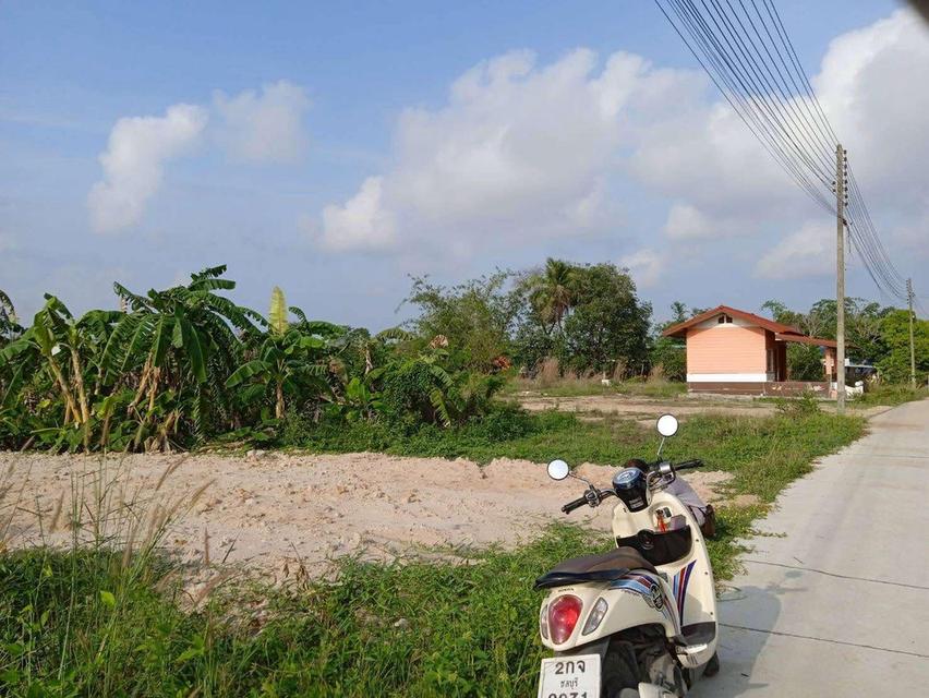 ขายที่ดินห้วยใหญ่ พัทยา 201 ตรว. ถมแล้วใกล้หาดจอมเทียน6กม. อ.บางละมุง ชลบุรี 2