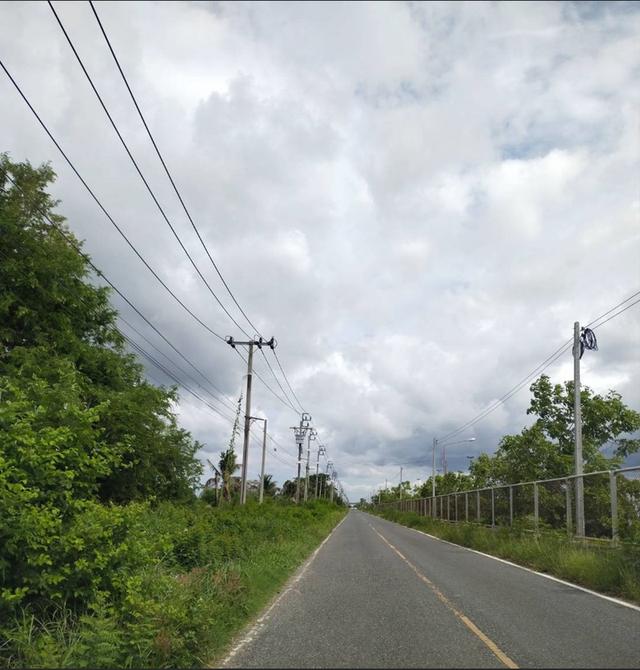 ขายที่สีม่วงถมแล้ว  37  ไร่ สร้างโรงงาน,โกดัง ต.บางนาง อ.พานทอง จ.ชลบุรี 1