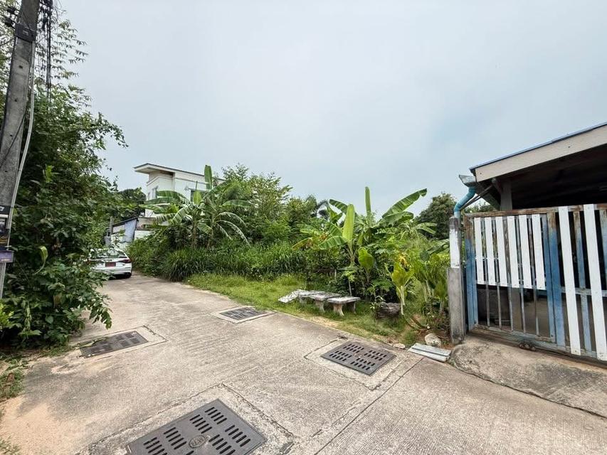 (เจ้าขอเป็นขายเอง) ขายที่ดินเปล่า บางละมุง – พัทยา 🏡 3