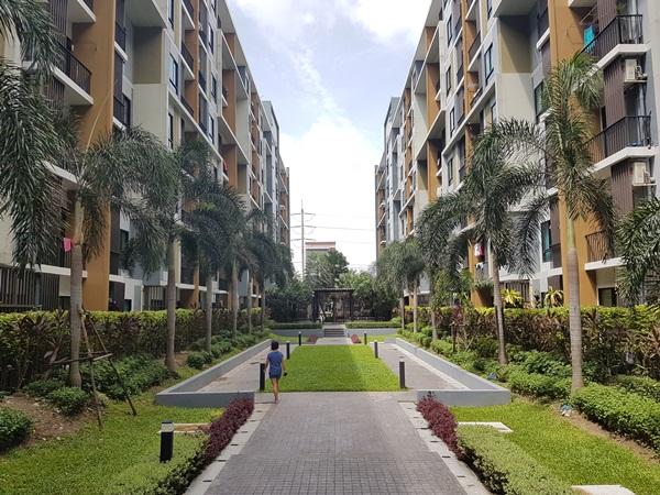 ปล่อยเช่า/ขาย iCondo Sukhumvit 105 พร้อมเฟอร์นิเจอร์ และเครื่องใช้ไฟฟ้าครบ โทร 094-1694126 14