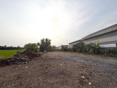 ที่ดินเปล่า 126 ตารางวา ไทรน้อย นนทบุรี 6