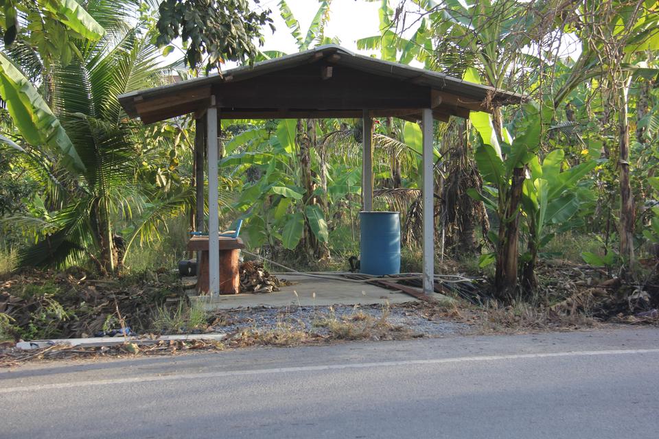 ขายที่ดินสวย อำเภอกำแพงแสน  จังหวัดนครปฐม 5 ไร่ 5 ตารางวา 5