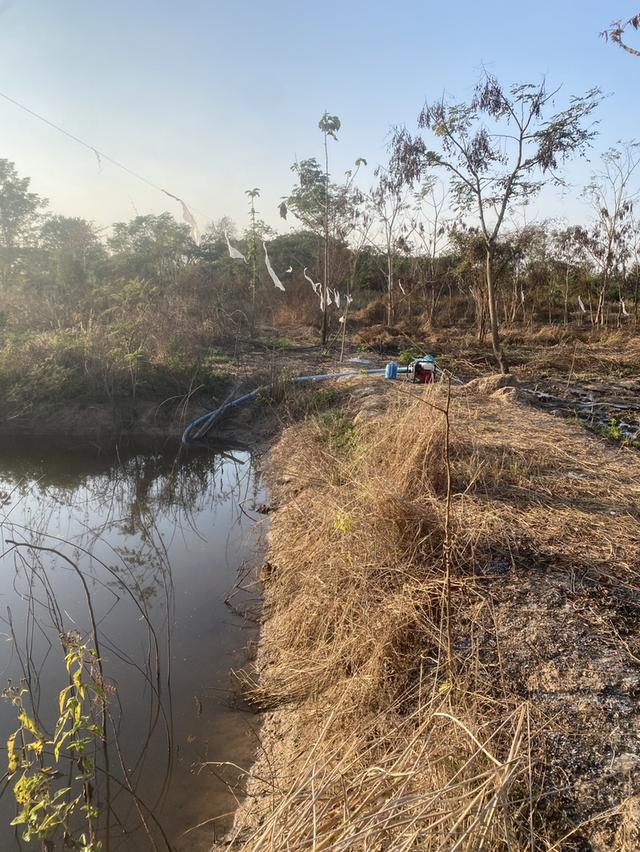 ขายที่ดิน 330 ตารางวา บ้านหม้อ ต.ห้วยทราย อ.สันกําแพง รูปย่อยที่ 4