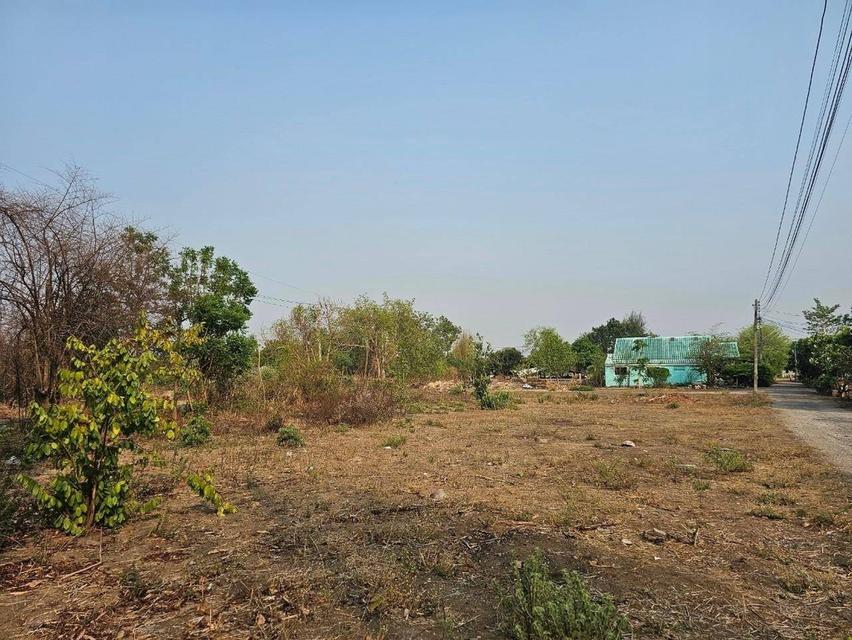 ขายที่ดินแปลงสวย ถูกสุดในย่าน 2 ไร่ 2 งาน 97 ตารางวา อำเภอดอยหล่อ จังหวัดเชียงใหม่ 6