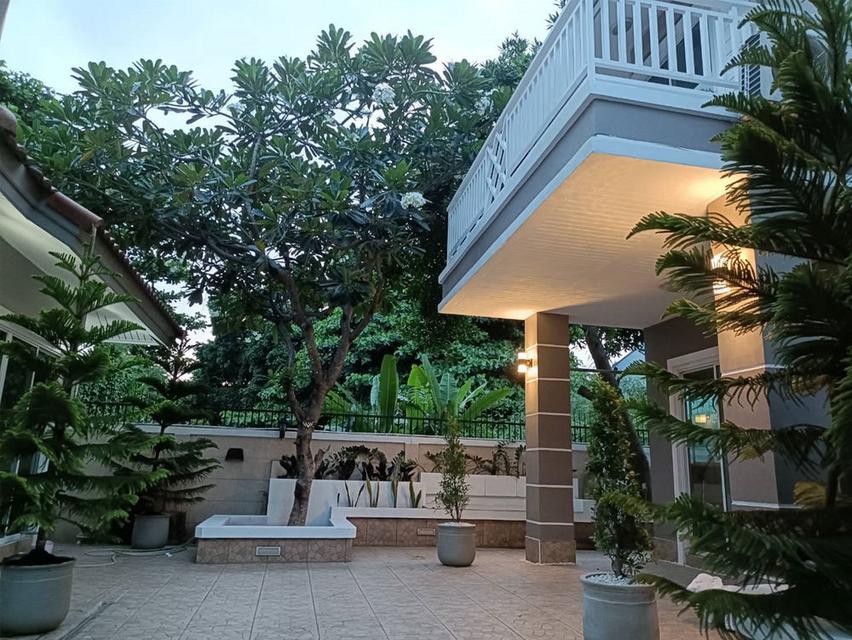 ขายด่วน บ้านใหญ่ แถมบ้านหลังเล็ก ใจกลางลาดพร้าว 64 บรรยากาศเหมือนรีสอร์ท รถไฟฟ้าสีเหลือง หน้าปากซอย 2