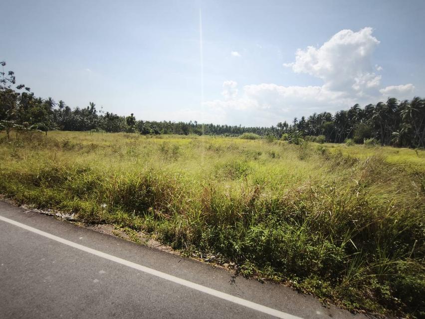 ขายที่ดินเปล่า บางเบิด อ.บางสะพาน จ.ประจวบคีรีขันธ์ 1