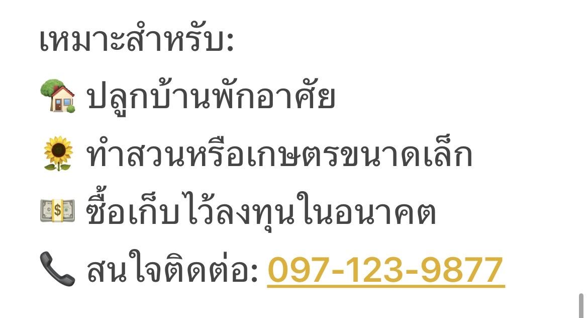 ขายที่ดินเปล่า อ.จอมบึง จ.ราชบุรี 4
