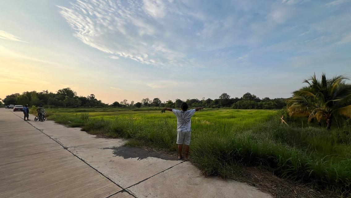ที่ดิน จังหวัดสระแก้ว 12 ไร่ 1 งาน 79.6 ตร.ว. 9