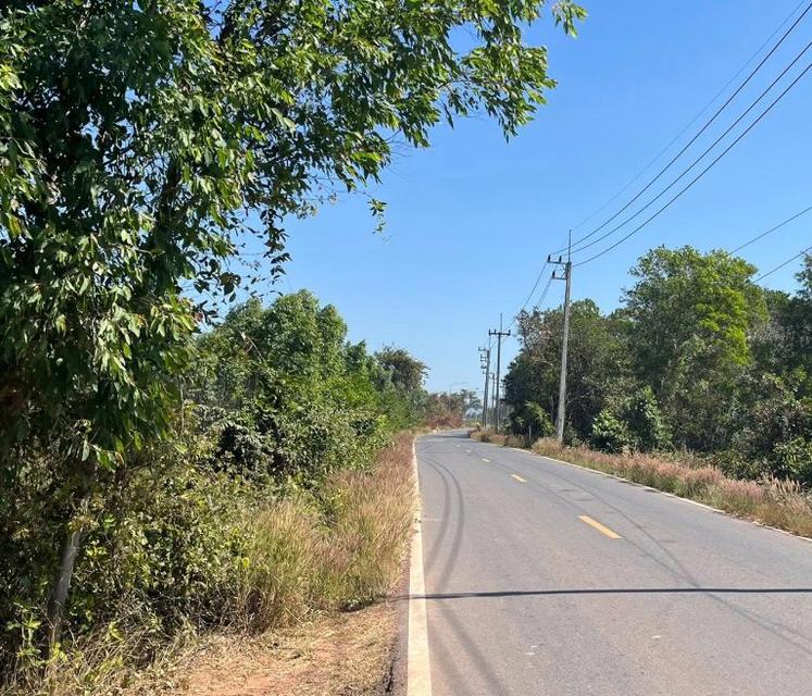 ขายที่ดินหนองกี่ 6 ไร่ ซอยบ้านทดหมู่5 ติดถนน2ด้าน ใกล้นิคมกบินทร์บุรี-5กม. อ.กบินทร์บุรี จ.ปราจีนบุรี 4