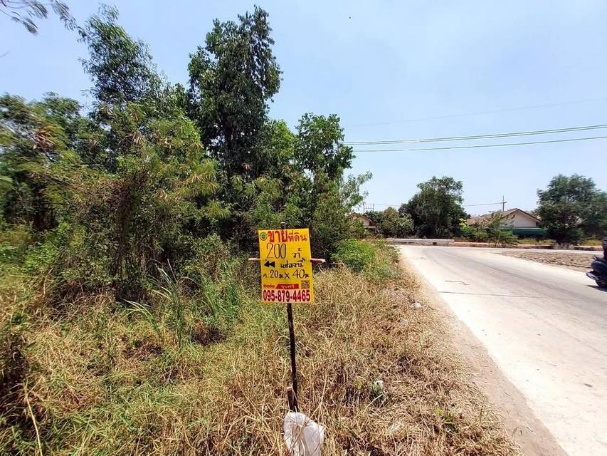 ขายด่วนที่ดิน 200 ตารางวา ติดถนนคอนกรีต ซอย คลองสี่ตะวันออก 56 คลองหลวง ปทุมธานี 3