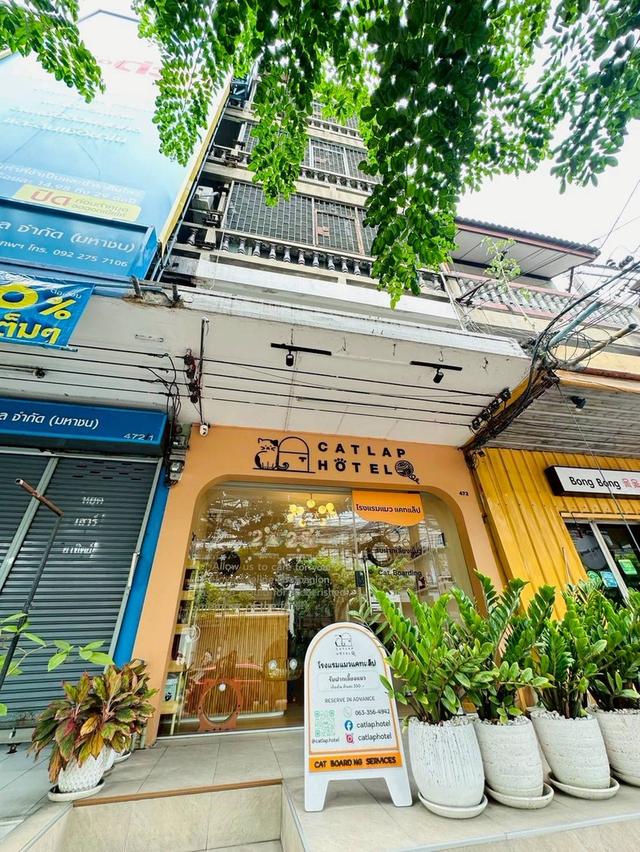 ขายอาคารพานิชย์ 4.5 ชั้น เนื้อที่ 16.6 ตรว. รีโนเวทภายในแล้ว ริมถนนอ่อนนุช 8 ( สุขุมวิท 77 ) 2