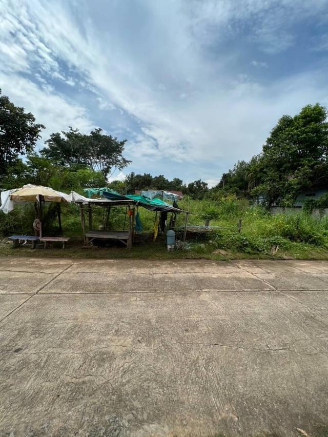 ขายที่ดิน น้ำไม่ท่วม 3