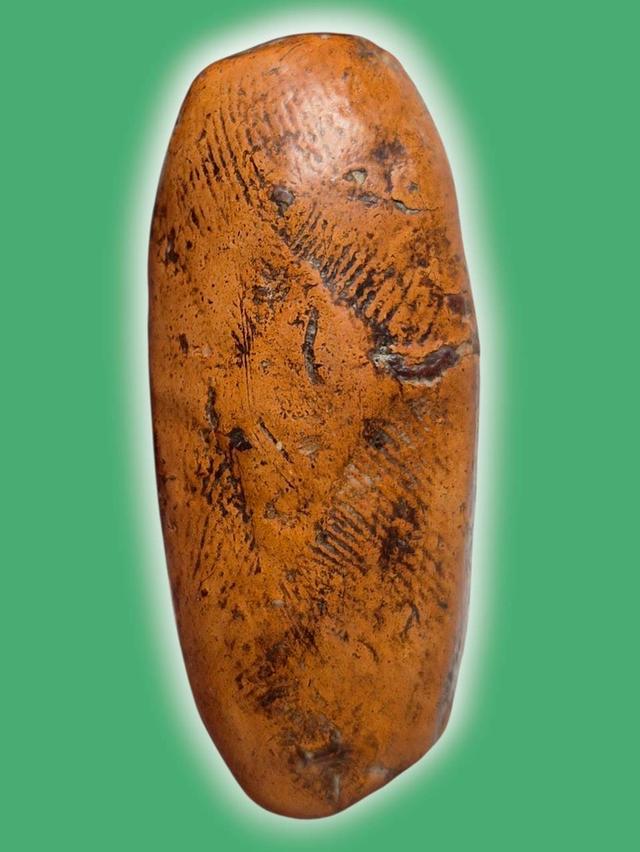 ☘️เปิดจ้า พระสวยๆเก่าๆๆ สนใจ ทักแชทได้คะ🙇‍♀️ รูปที่ 2