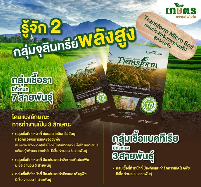ขายทรานฟอร์มไมโครซอย สารช่วยย่อยสลายข้าวดิดข้าวเด้ง รูปย่อยที่ 3