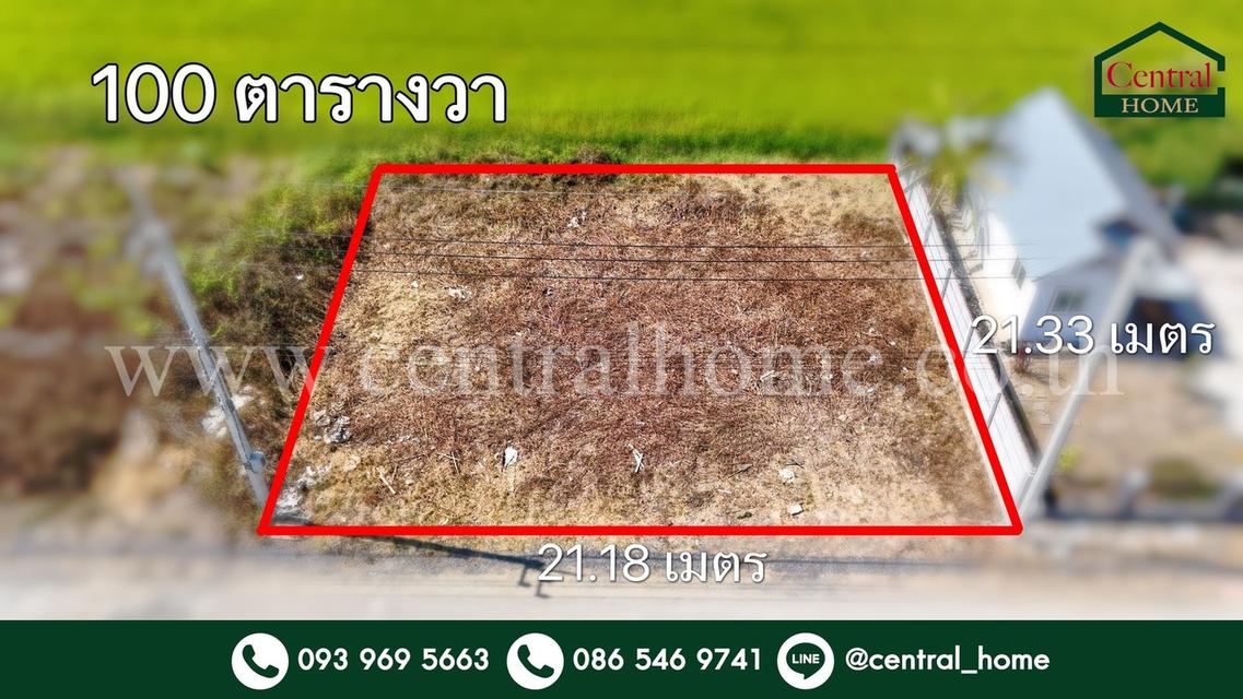 ที่ดินจัดสรร 100 ตร.ว. ซอยสังฆสันติสุข 48 หนองจอก ทำเลดี