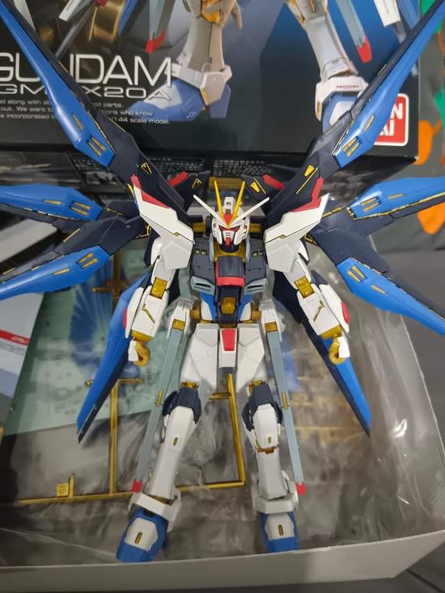 RG STRIKE FREEDOM GUNDAM 2