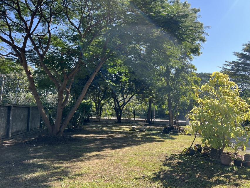 บ้านเดี่ยว ที่เชียงใหม่ อ.สันกำแพง 3