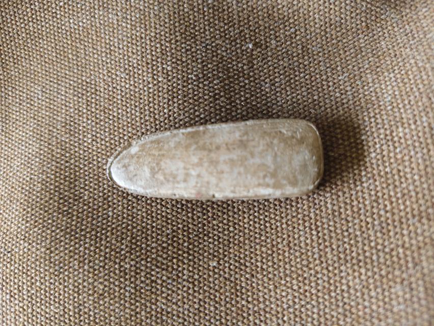 พระลีลา เม็ดขนนชุ่มกำแพง 2