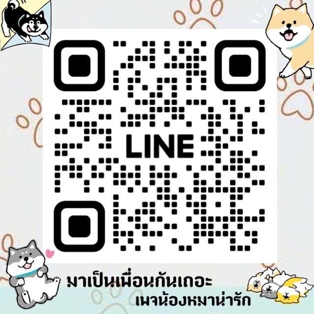 ปอมเมอเรเนียนแท้ พร้อมย้ายบ้าน พิกัดรามอินทรา 4