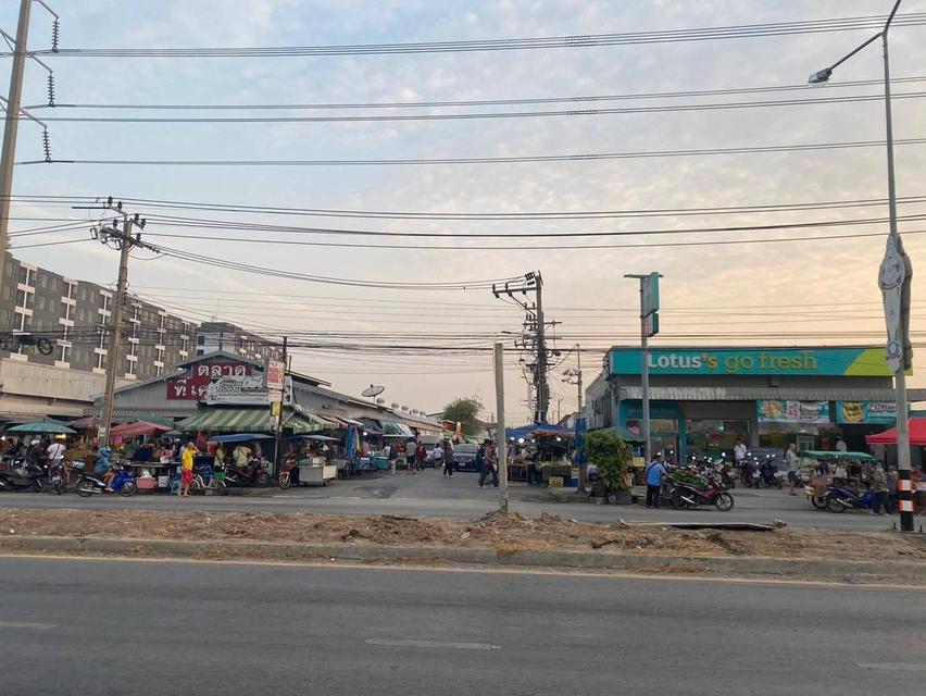 ขายด่วน ที่ดินทำเลทอง เนื้อที่ 260 ตร.ว. ซอยข้างตลาดเอเชีย ไทรน้อย นนทบุรี 5