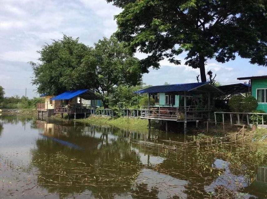 ที่ดิน 10