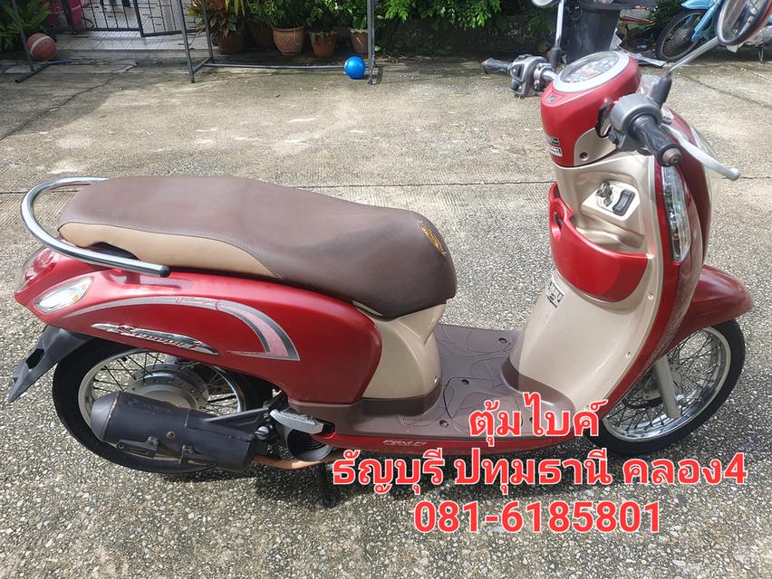 ขาย hoda scoopyi Prestige 2016