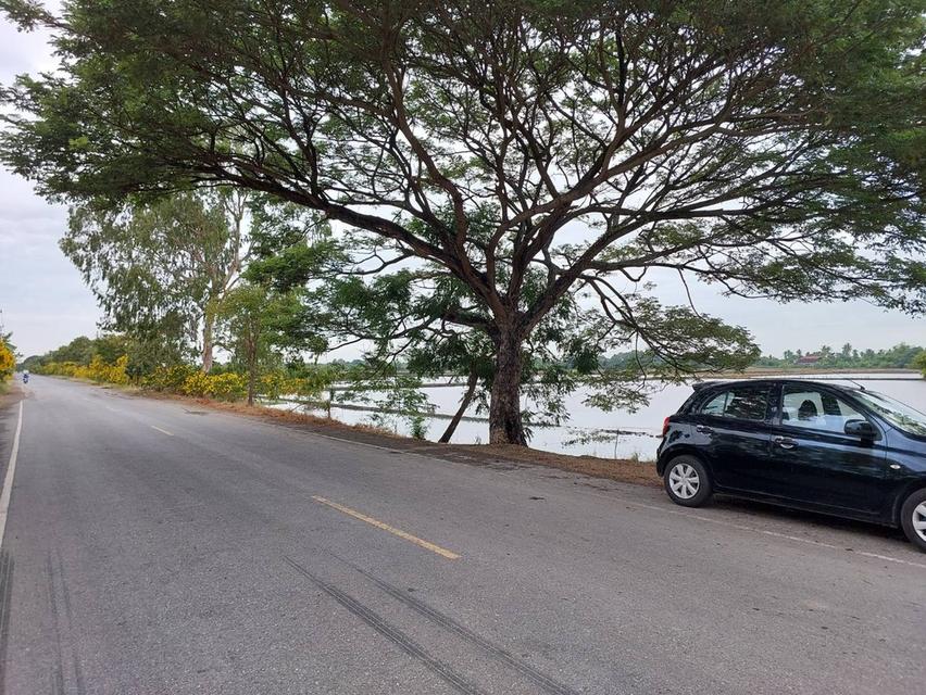 ขายที่ดิน 64-1-40 ไร่ ซอยสนามยิงปืนราชสีห์ อำเภอสามโคก จังหวัดปทุมธานี 4