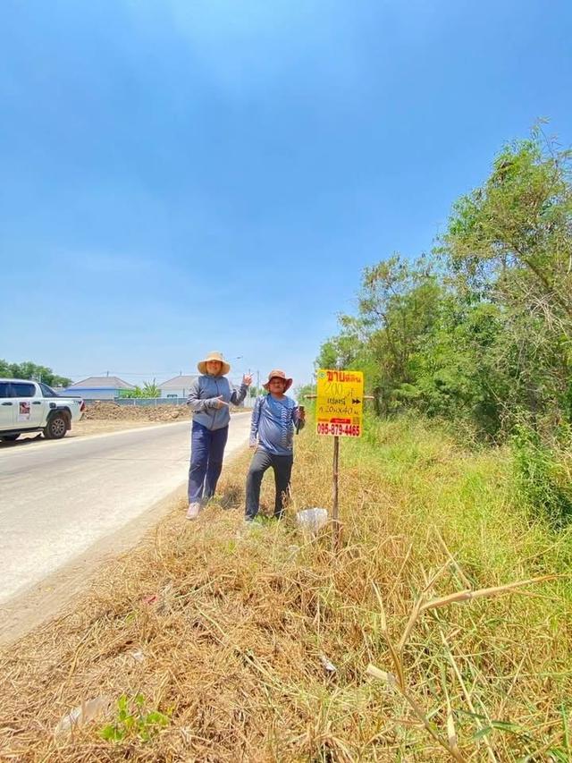 ขายด่วนที่ดิน 200 ตารางวา ติดถนนคอนกรีต ซอย คลองสี่ตะวันออก 56 คลองหลวง ปทุมธานี 1