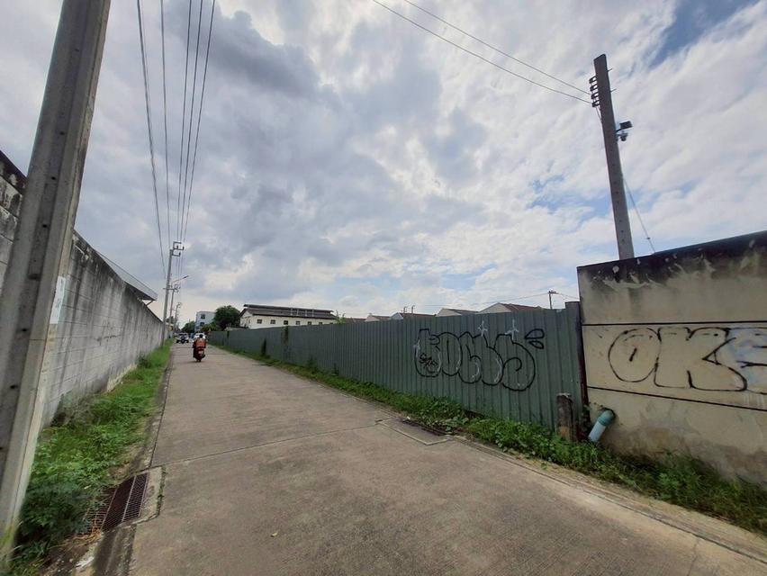 ขายถูกมากที่ดินหนองแขม 3 ไร่ 3 งาน 51 ตรว ติดถนนคอนกรีตสาธารณะ เลียบคลองภาษีเจริญฝั่งเหนือ 10 กทม. 4