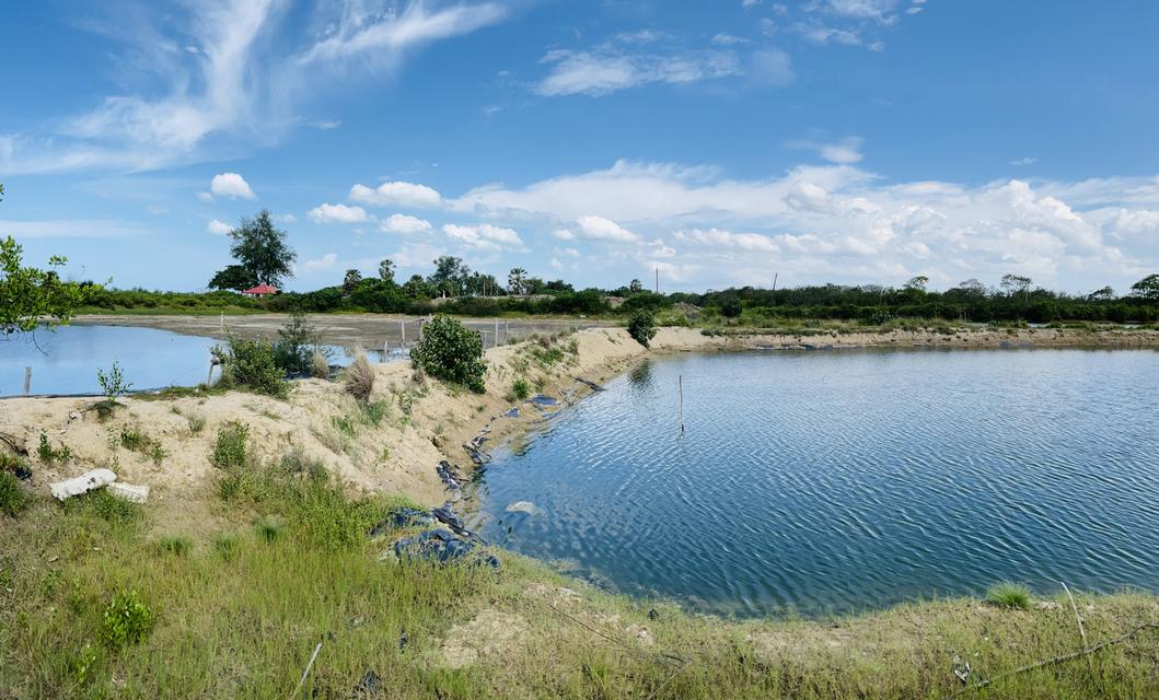 ขายที่ดิน 13 ไร่  ติดทะเล ใกล้วัดหัวระวะ ระโนด 4