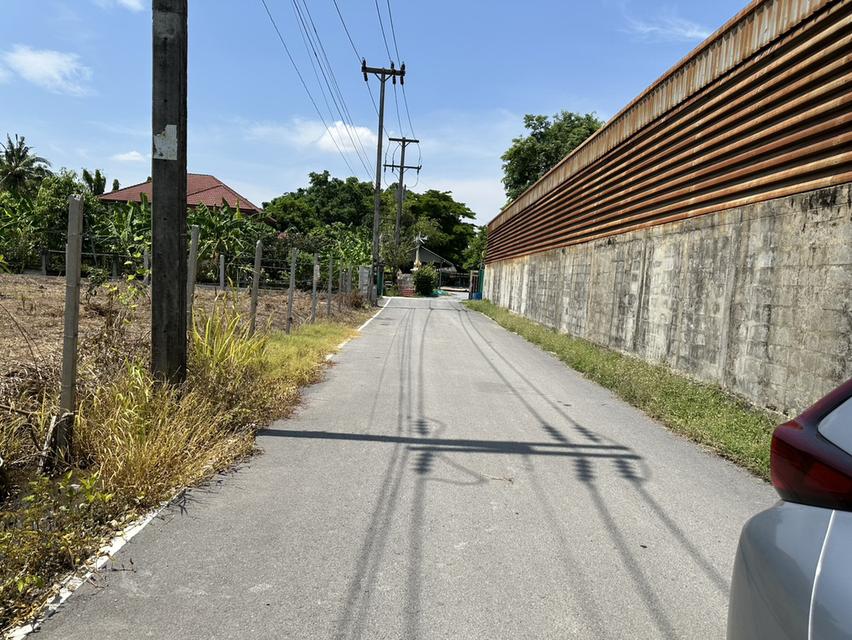 ขายที่ดิน 1 ไร่ 3 งาน ถมแล้ว ที่สวย บรรยากาศดี ร่มรื่น เงียบสงบ  ปลอดภัย ใกล้แหล่งท่องเที่ยว 12