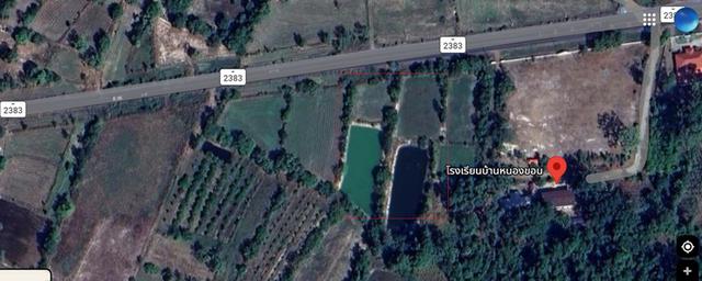 ให้เช่าที่นา 5 ไร่ 1งาน ที่อำเภอม่วงสามสิบ จังหวัดอุบลราชธานี 1