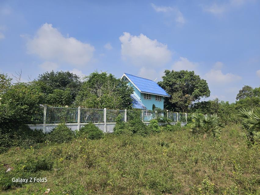 ที่ดินติดถนนสาย 33 ปราจีนบุรี 15