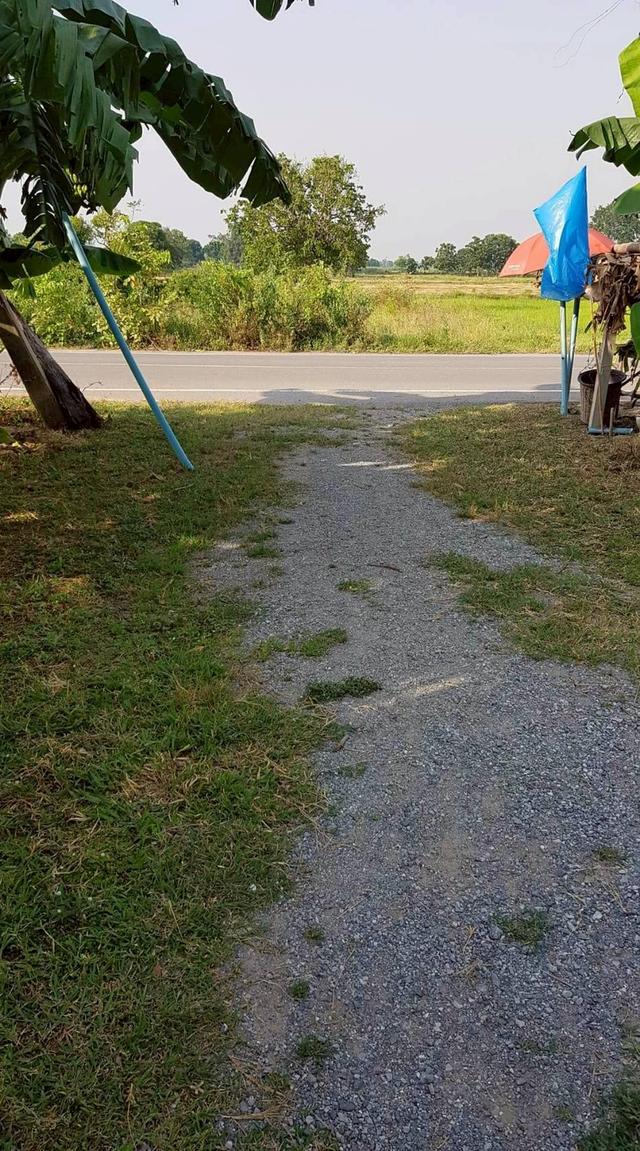 ขายที่ดินติดฝายน้ำใหญ่ 4
