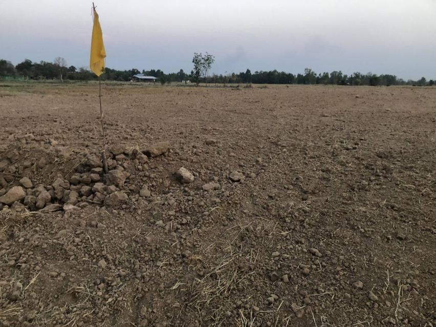 ที่ดินเปล่าพร้อมปลูกสร้างที่อยู่อาศัย 5