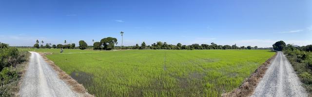 ที่ดินจังหวัดสุพรรณบุรี 3