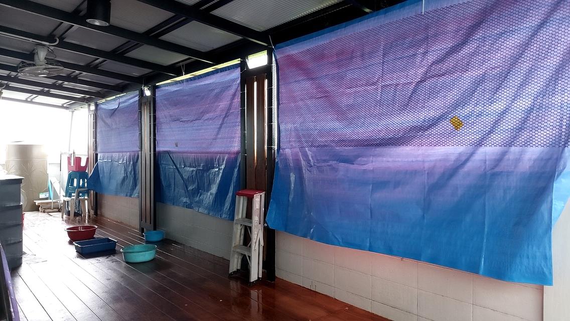 บ้านเดี่ยว หมู่บ้านในฝัน จ.ชุมพร 12